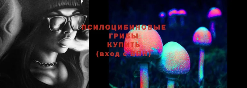 купить   Амурск  сайты даркнета как зайти  Галлюциногенные грибы Cubensis 